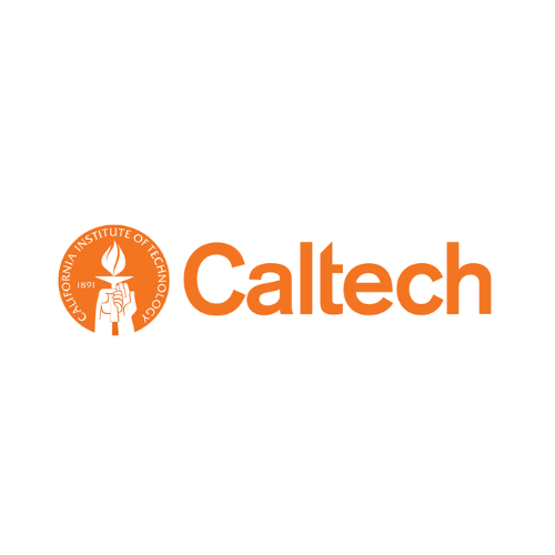 Logo 12